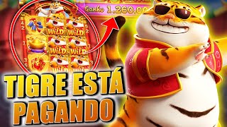 play live casino imagem de tela 4